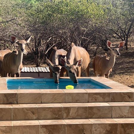 Impala Lily Villa Marloth Park Bagian luar foto