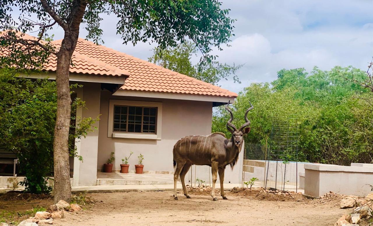 Impala Lily Villa Marloth Park Bagian luar foto