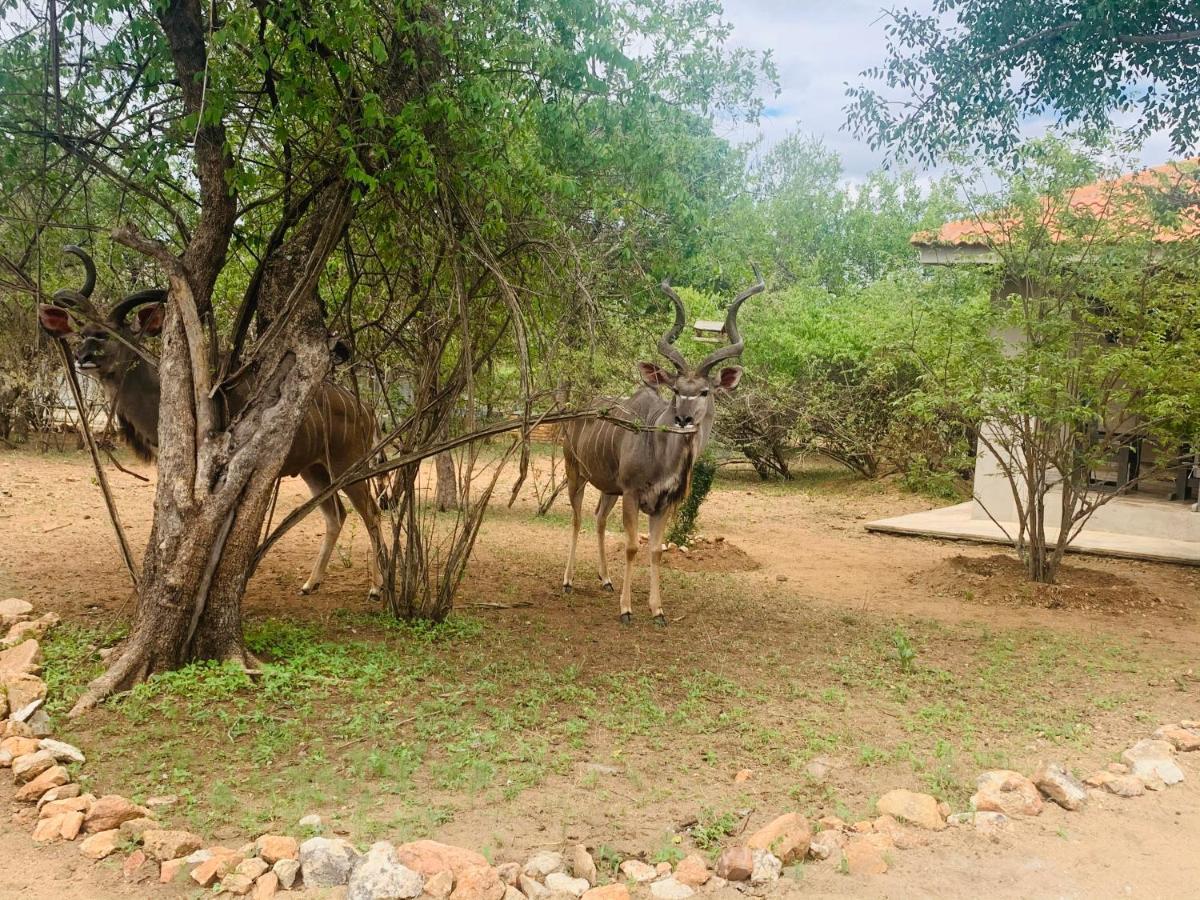 Impala Lily Villa Marloth Park Bagian luar foto