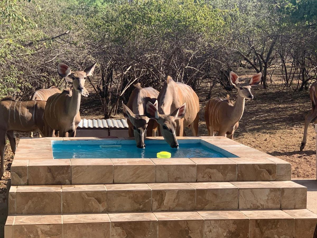 Impala Lily Villa Marloth Park Bagian luar foto