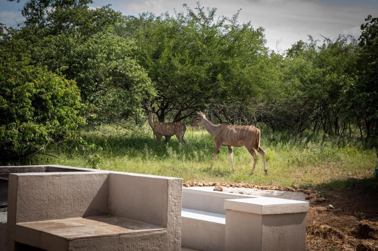 Impala Lily Villa Marloth Park Bagian luar foto